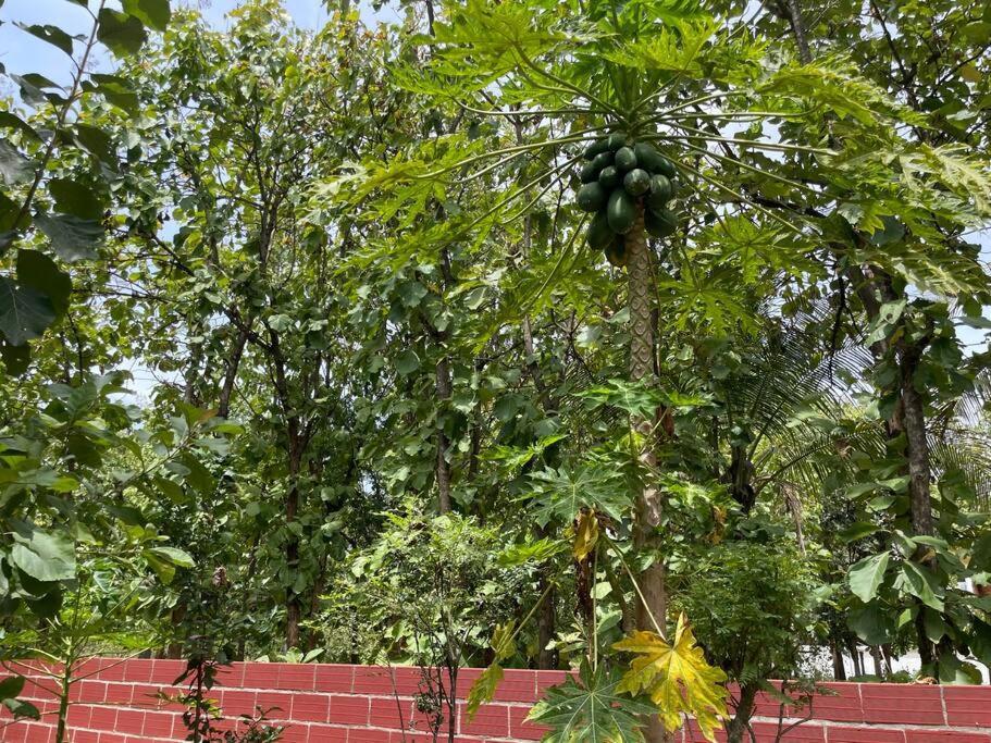 'Vrindavan' In Heritage City Mysuru Luaran gambar